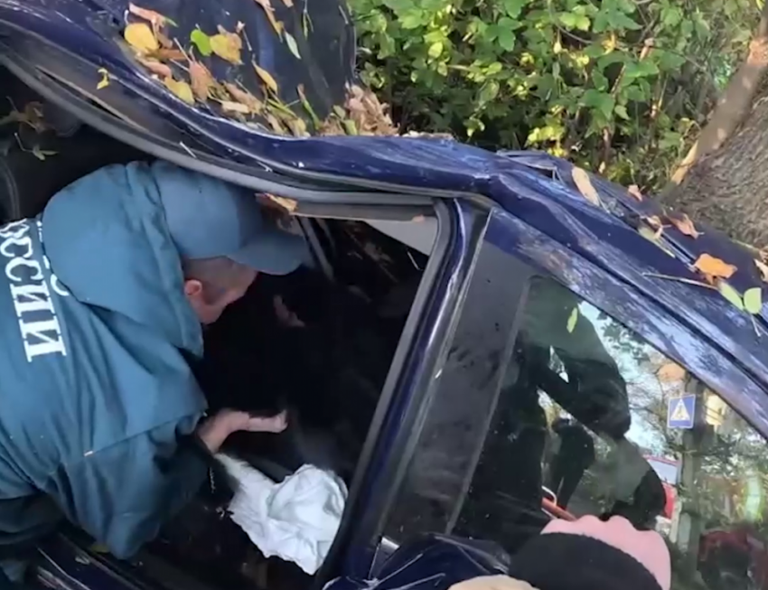 В Макеевке легковушка влетела в дерево — женщину вырезали из покорёженного авто