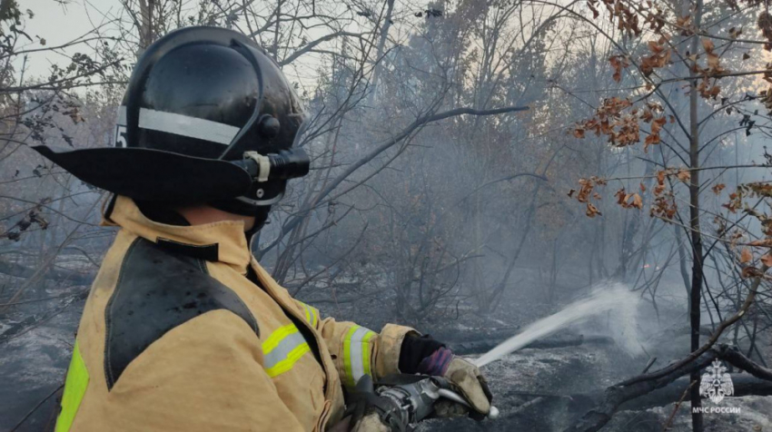 В ДНР за сутки ликвидировано 106 пожаров