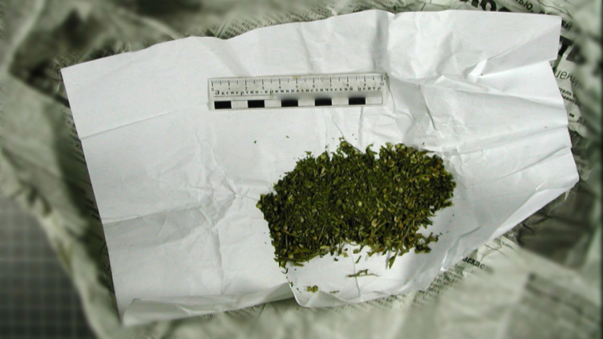 Полиция нашла каннабис у жительницы Тореза: наркотики хранились на кухне 