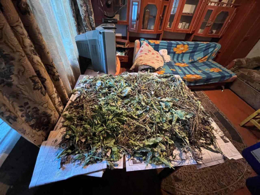 Наркотикам бой: в Петровском районе Донецка задержаны двое местных жителей