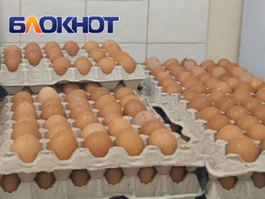 Высокая себестоимость или коммерческий сговор: в чем истинная причина космических цен на курицу и яйца в ДНР