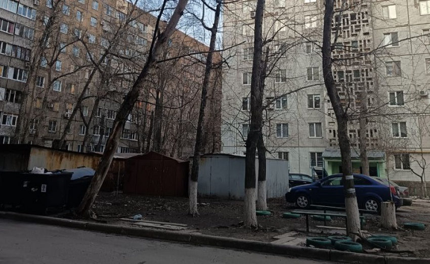 Аварийное дерево чуть не убило ребёнка на Петровского 113а в Донецке