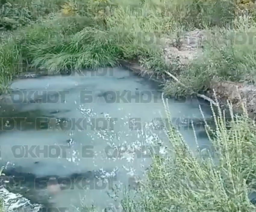 Пруд Песчаный в Донецке превратился в зловонное болото — «Вода Донбасса» молчит
