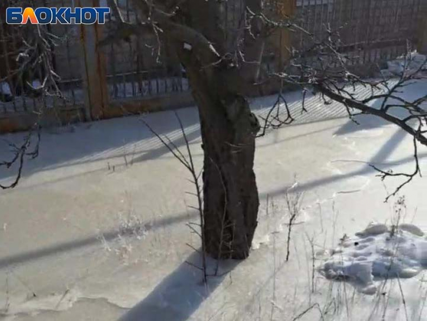 Водоканал и мороз организовали опасный каток жителям улицы Пантелеймоновской в Горловке