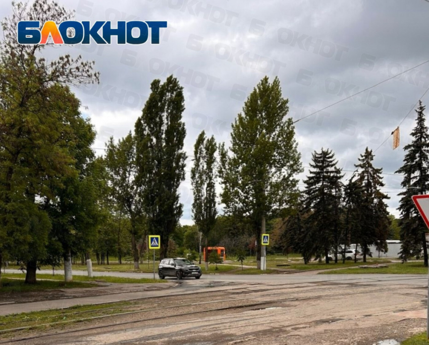 Жители Енакиево требуют установить лежачий полицейский перед опасным переходом