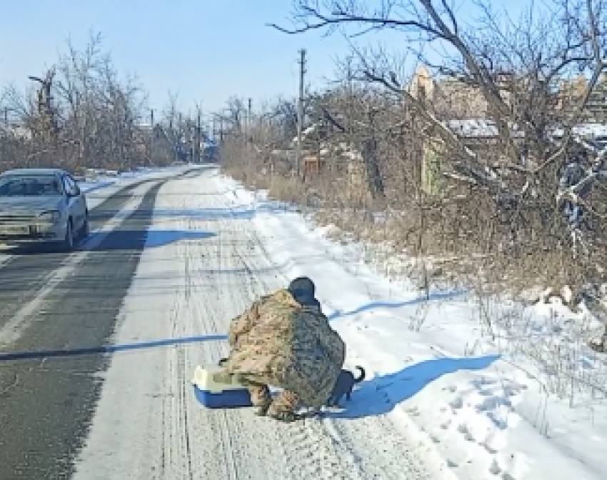 Волонтеры показали отлов одичавших кошек в приграничье ДНР