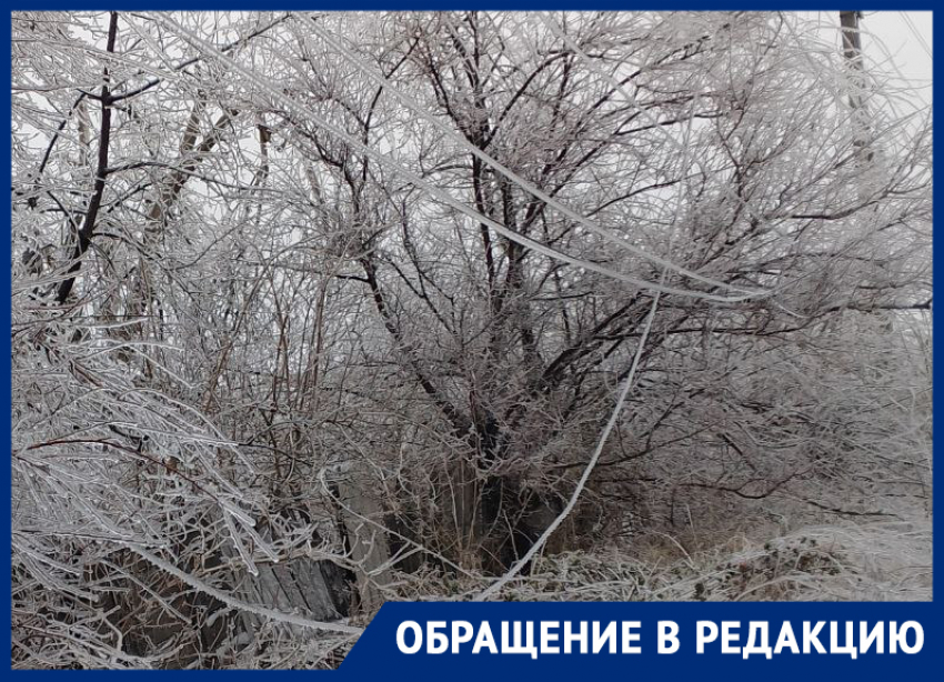 «В РЭС не приняли заявку, бросили трубку!»: жители Донецка не могут достучаться в аварийные службы