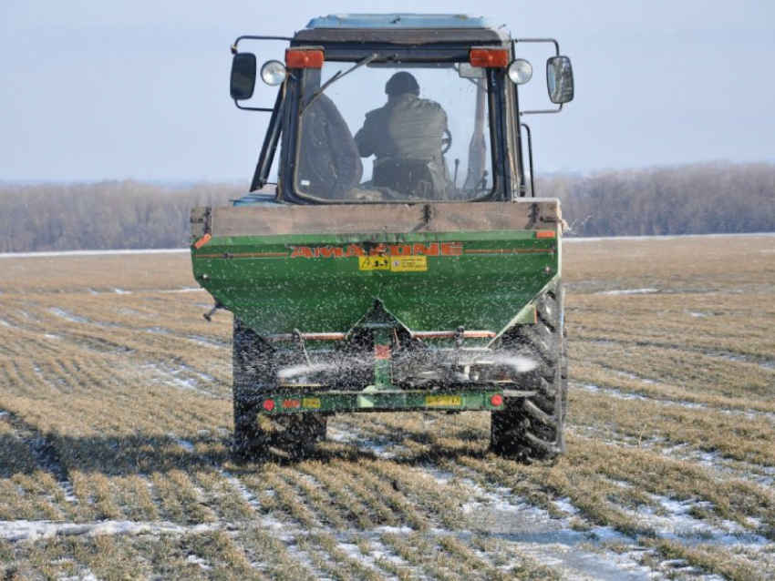 Донбассу голод не грозит: аграрии готовятся засевать поля