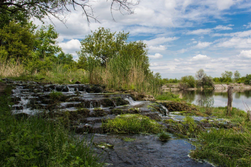 В Донецке начнут очистку берега реки Кальмиус