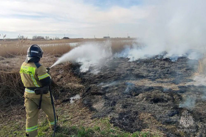 В ДНР масштабно выгорает сухая трава