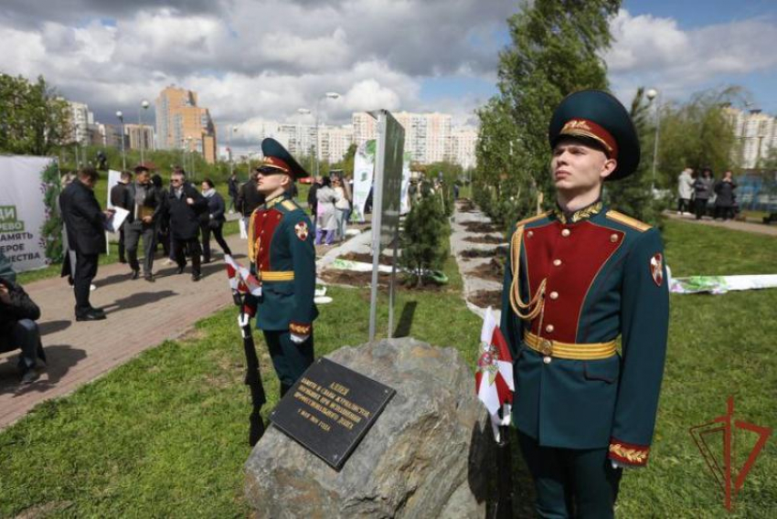 Кедровая аллея появилась в Москве в память о погибших в ДНР военкорах