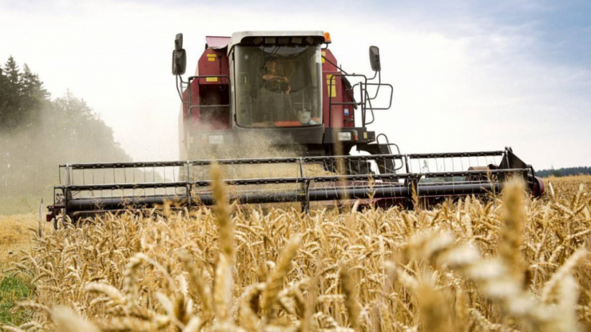 Хлеборобы ДНР убрали более 90% зерновых и зернобобовых культур
