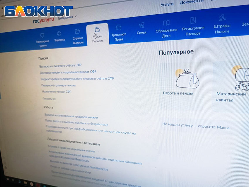 «Госуслуги» помогут: узнаем пенсионный коэффициент и стаж в ДНР