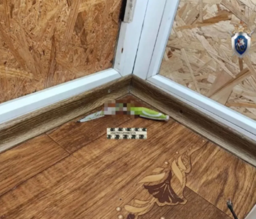 Порезала и добила утюгом: жительницу Донецка будут судить за убийство