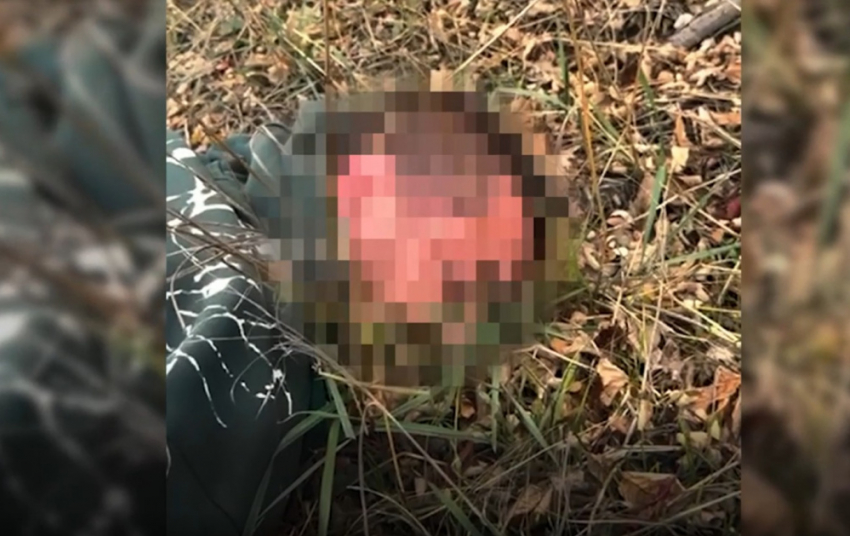 ФСБ задержала 25 членов украинского наркокортеля в ДНР